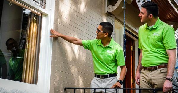 Lime Painting Franchise