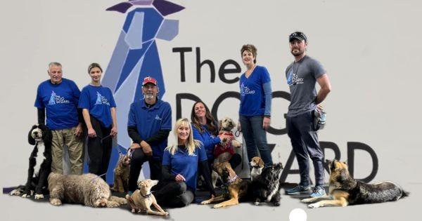The Dog Wizard Franchise