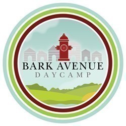 Bark Avenue Daycamp