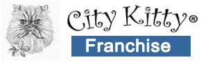 City Kitty