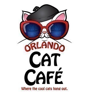 Orlando Cat Cafe