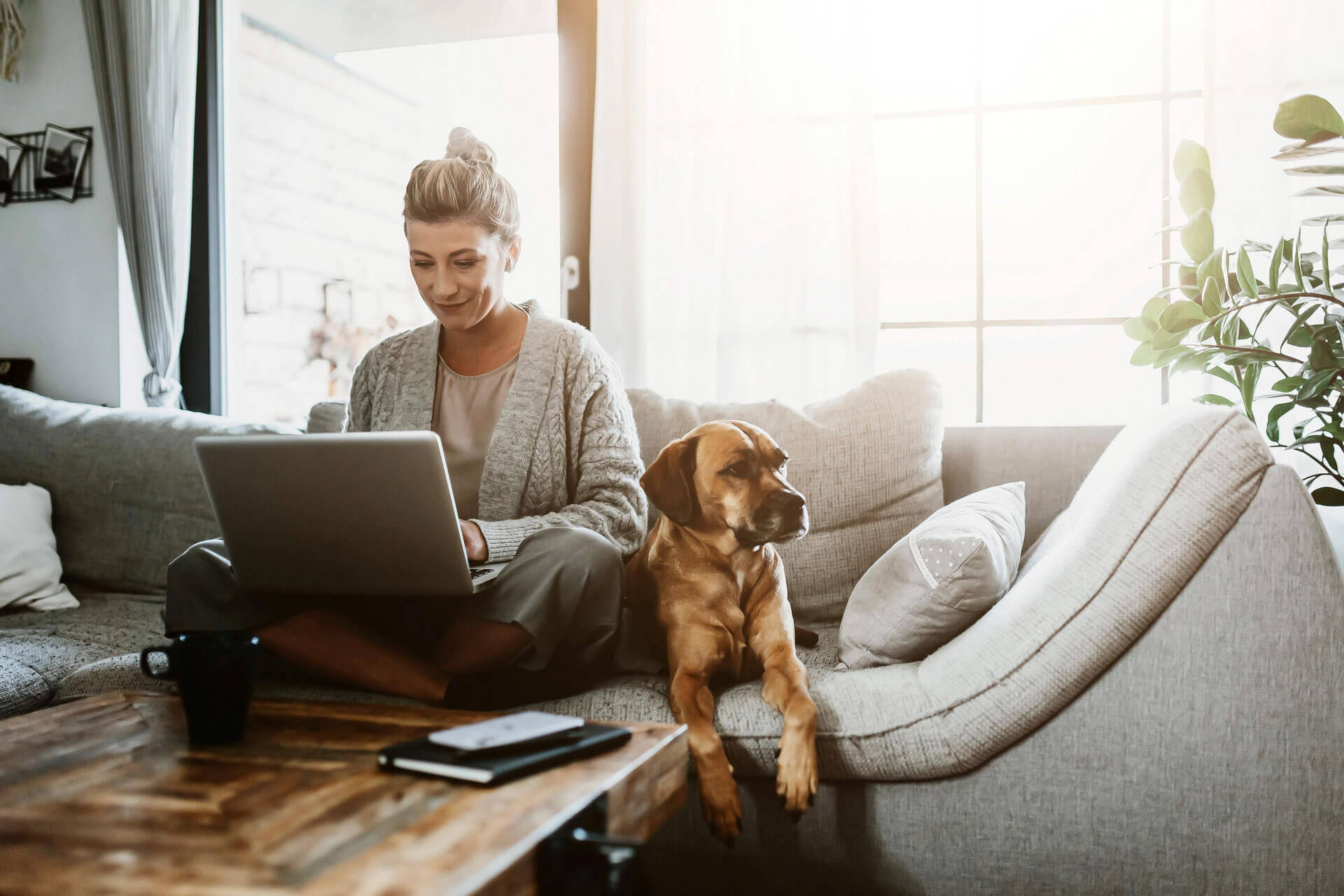 work from home jobs